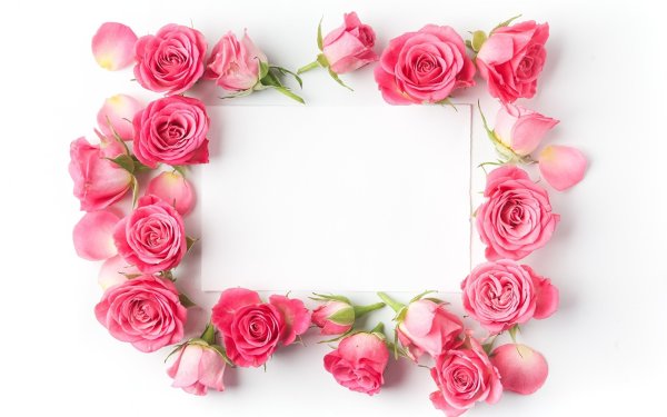 Фоторамка из цветов