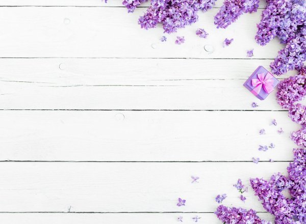 Красивый фон для надписи текста