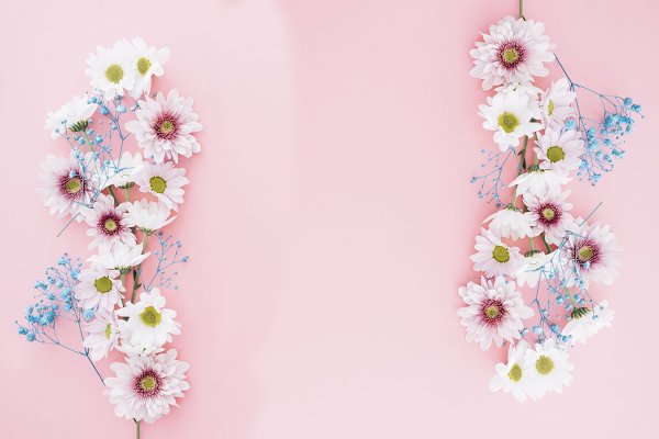 Красивый цветочный фон для текста