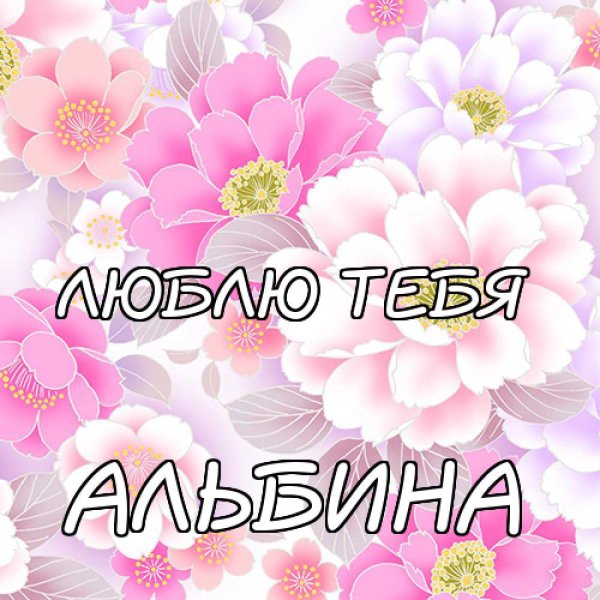 Альбина я тебя люблю картинка