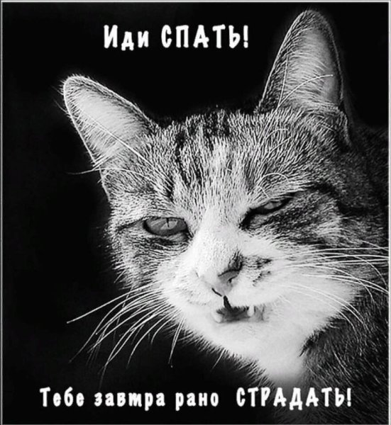 Я спать