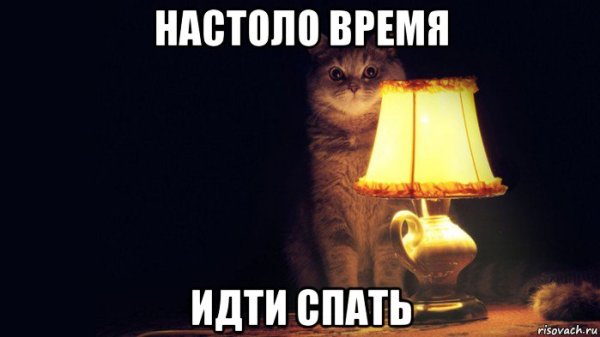 Иди спать Мем с котом