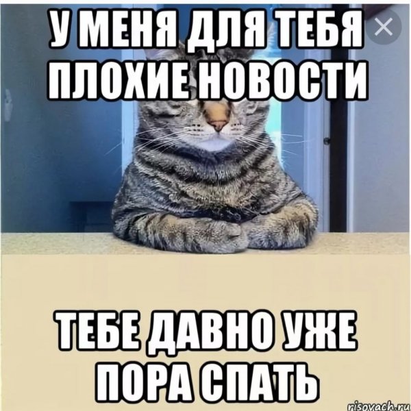 Пора спать!