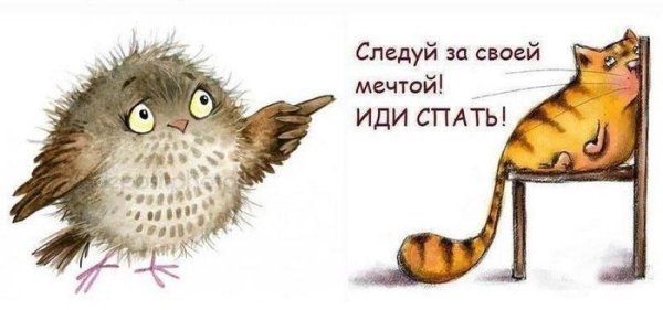 Идём спать картинки прикольные