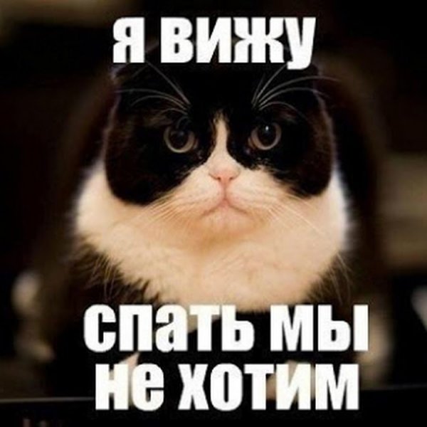 Быстро спать прикольные