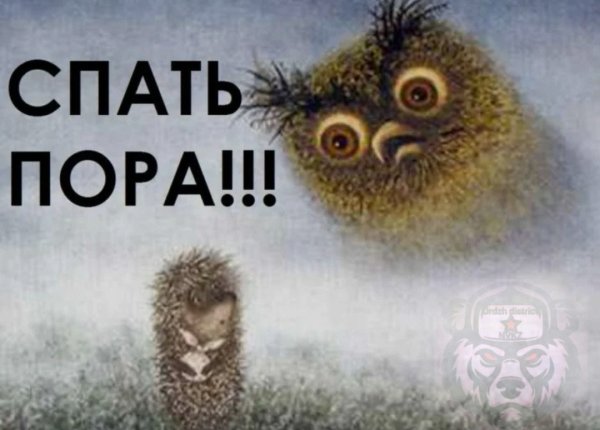 Пара спит прикол