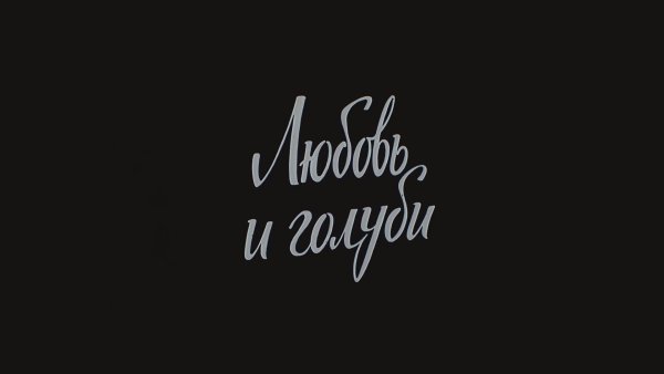 Любовь и голуби заставка