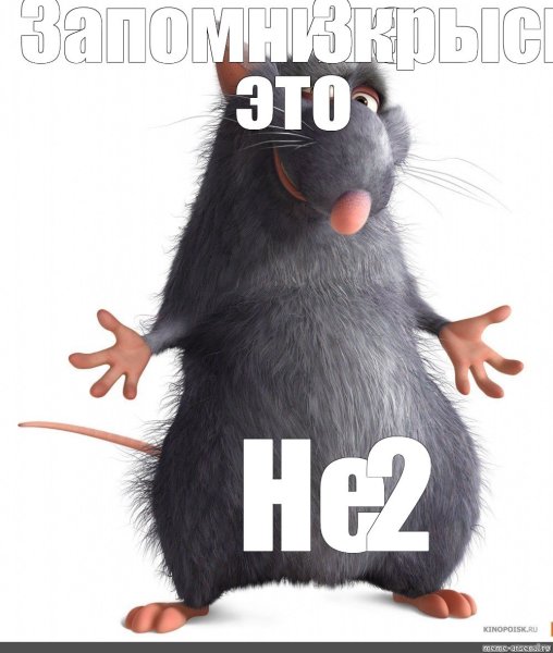 Мемы с крысами