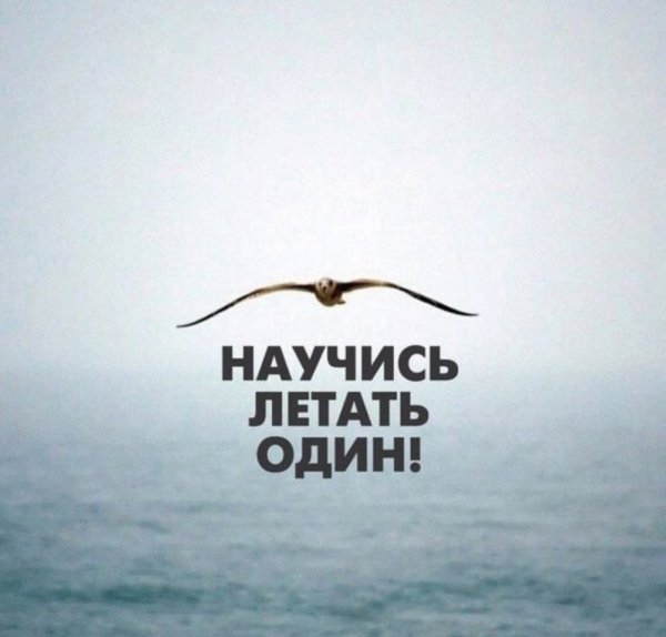 Научись летать