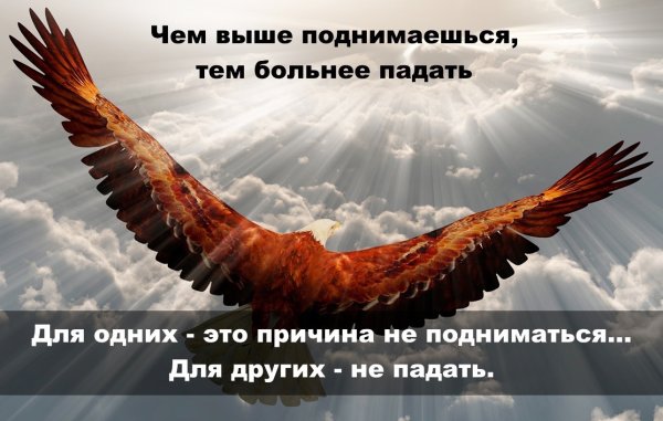 Цитаты про орла