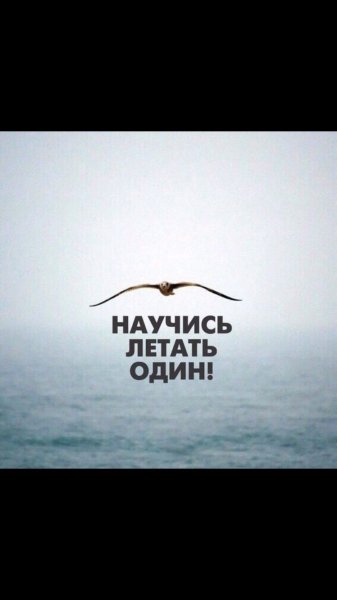 Научись летать один обои на телефон