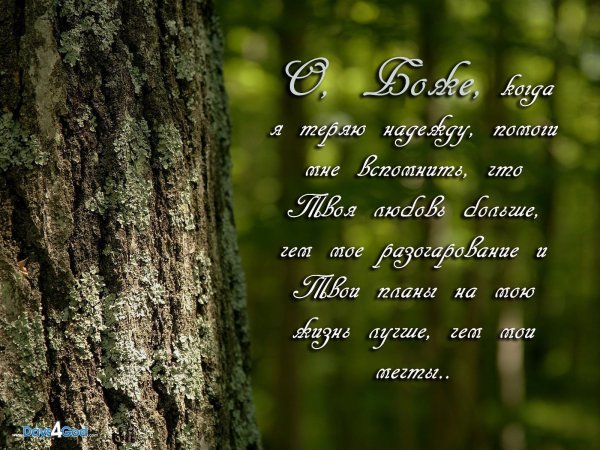 Христианские стихи из Библии