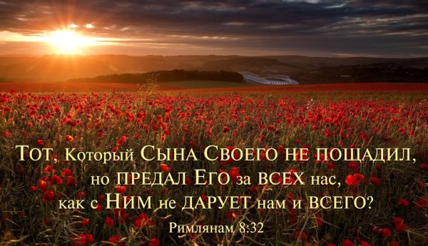 Библейские стихи