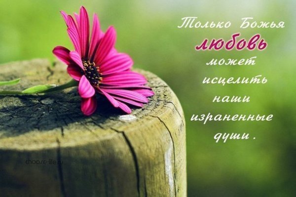 Христианские открытки со стихами из Библии