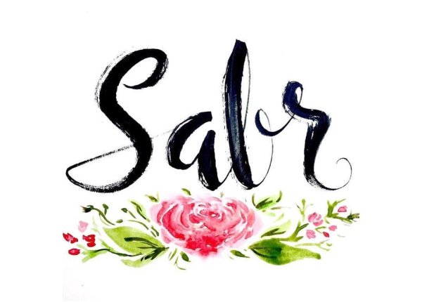 Сабр красивые