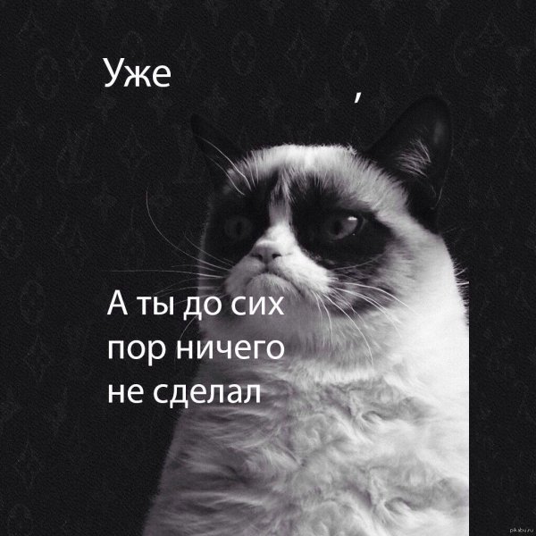 Уже а ты ещё не набухался