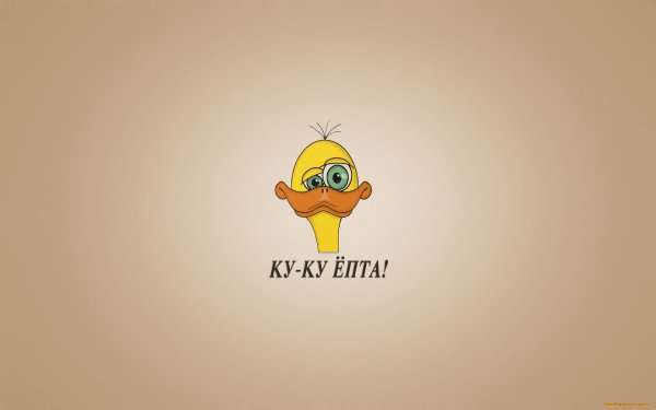 Прикольные надписи на рабочий стол