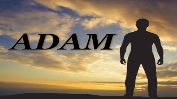 Тайна имени адам проект