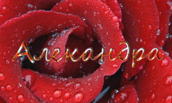 Цветок имени Александра