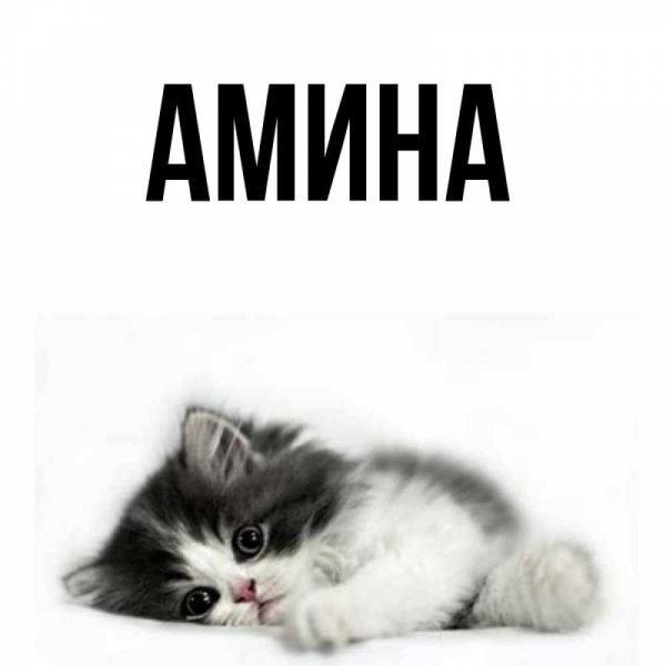 Имя Амина