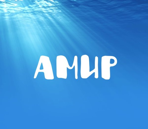 Амир надпись
