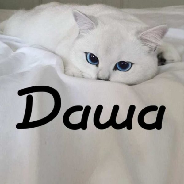 Даша имя надпись