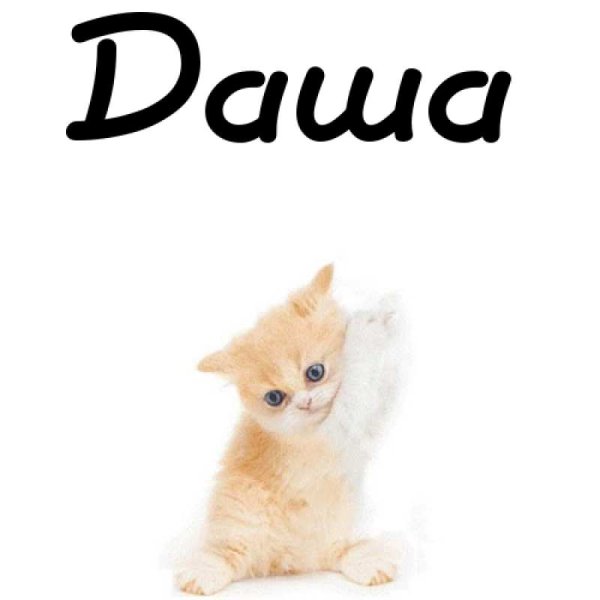 Даша надпись