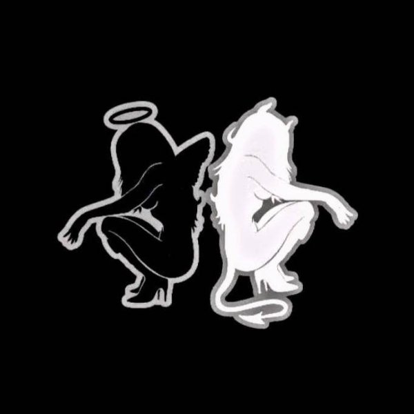 Во мне воюют ангел с бесом а я сочувствую обоим