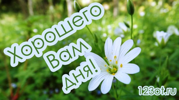 Хорошего дня и отличного настроения