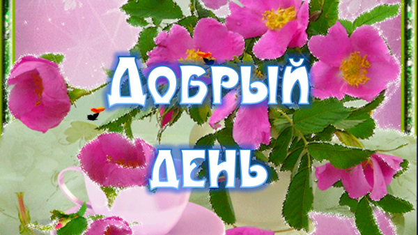 Открытки с добрым утром