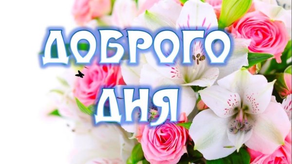 Добрый день девушке