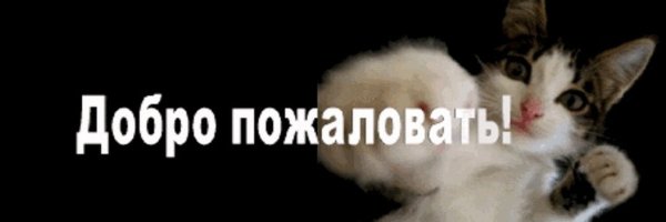 Добро пожаловать в группу ВК