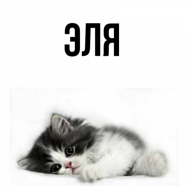 Эля надпись