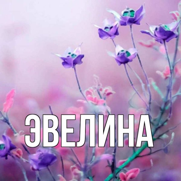 Эвелина открытка