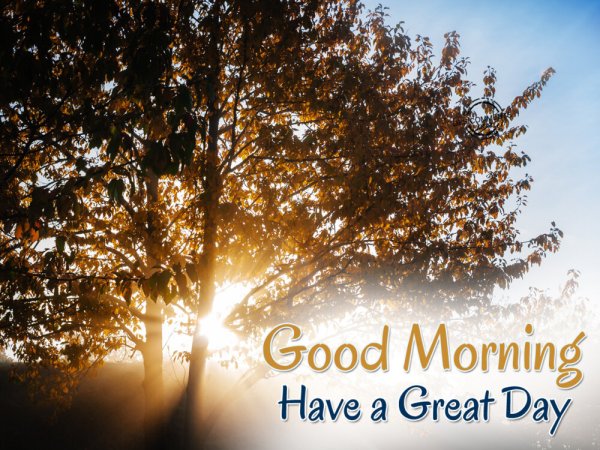 Открытка have a good Day
