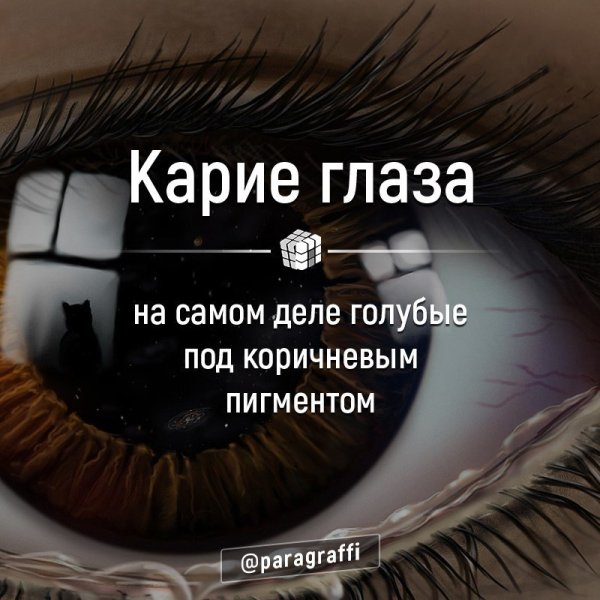 Карие глаза фразы