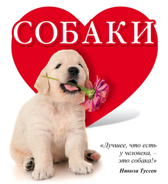 Надпись я люблю собак