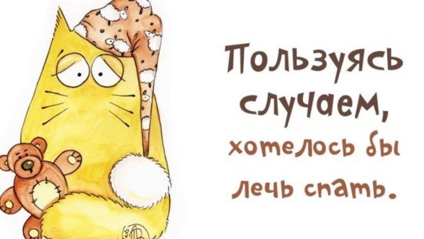 Спать картинки прикольные