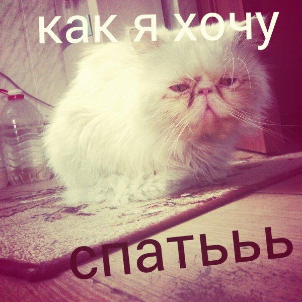 Хочется спать картинки