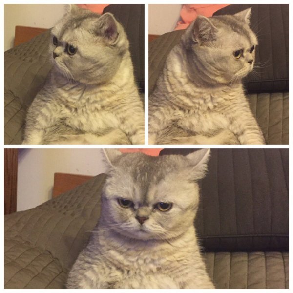 Я хочу спать