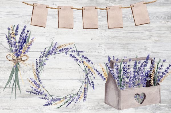 Баннер Лаванда