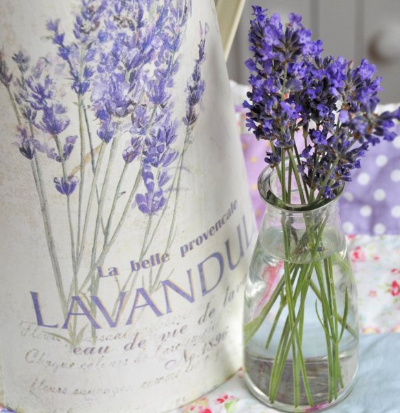 Букеты лаванды Прованс утром