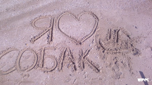 Надпись Катя на песке