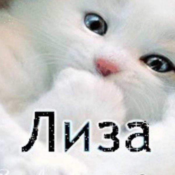 Картинки с именем Лиза Елизавета