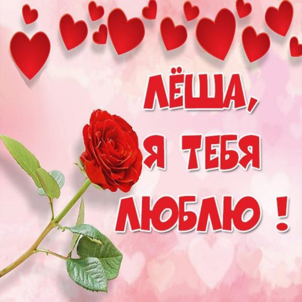 Андрюша я тебя люблю