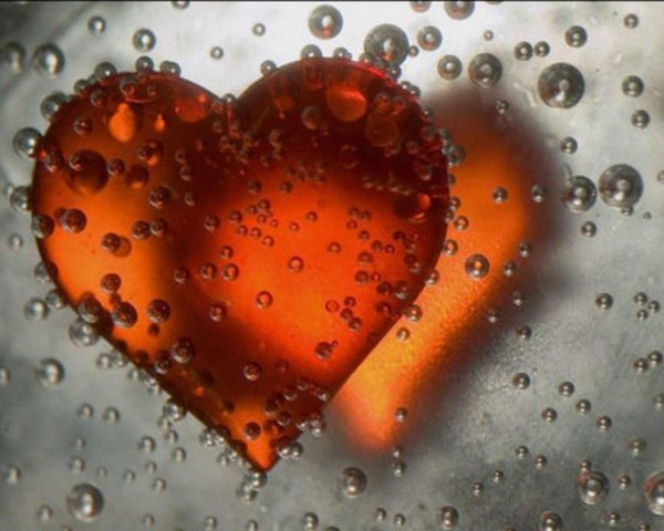 Ванечка я тебя люблю