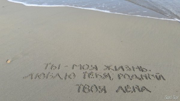 Лена я тебя люблю надпись