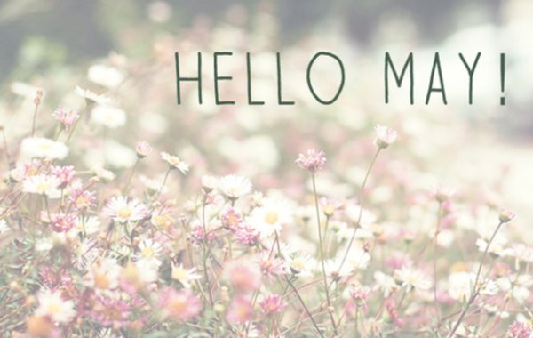 Hello May надпись