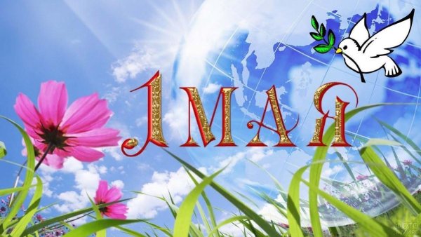 1 Мая праздник весны и труда