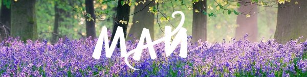 Май надпись